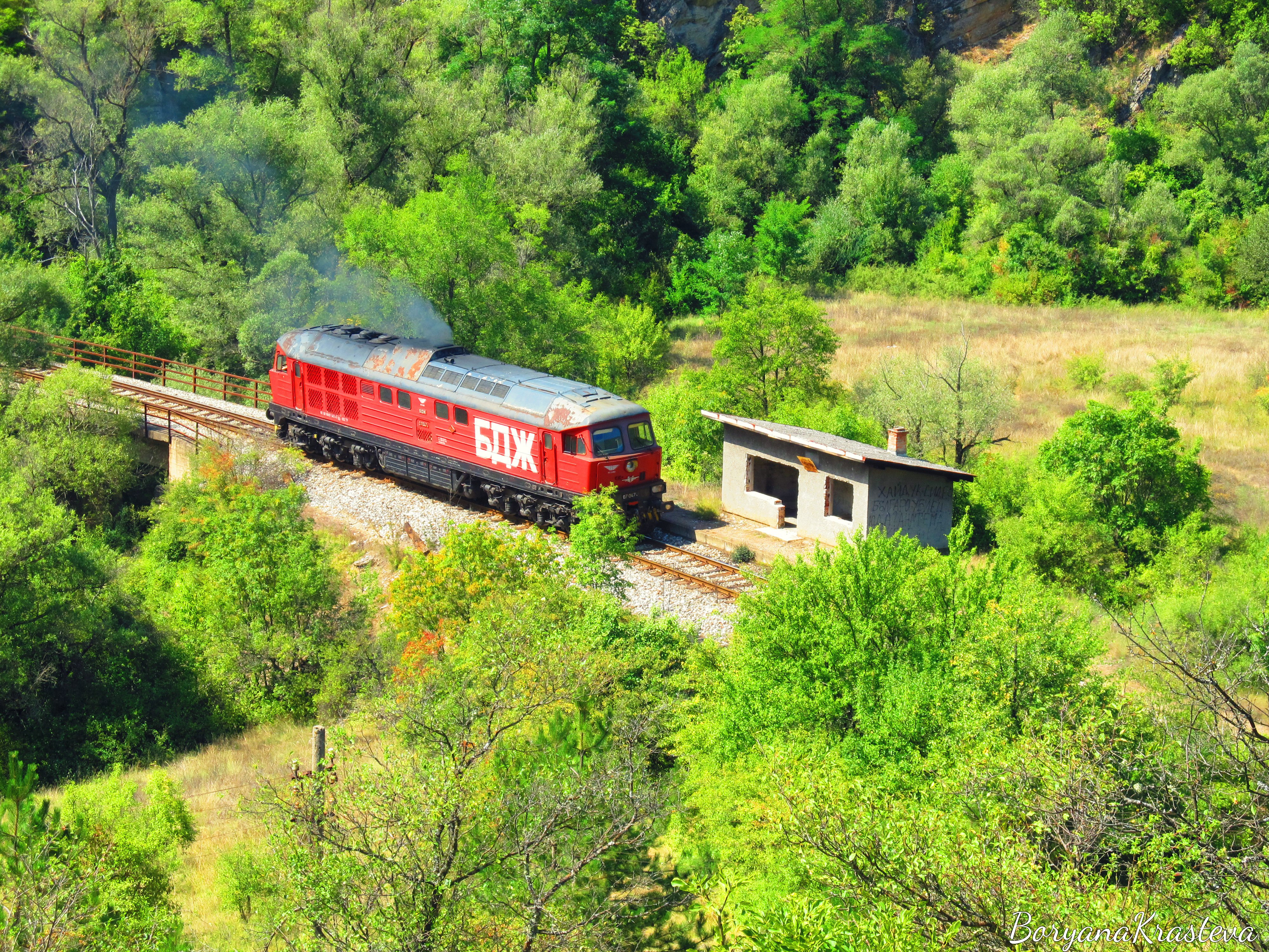 vlak, razboishte