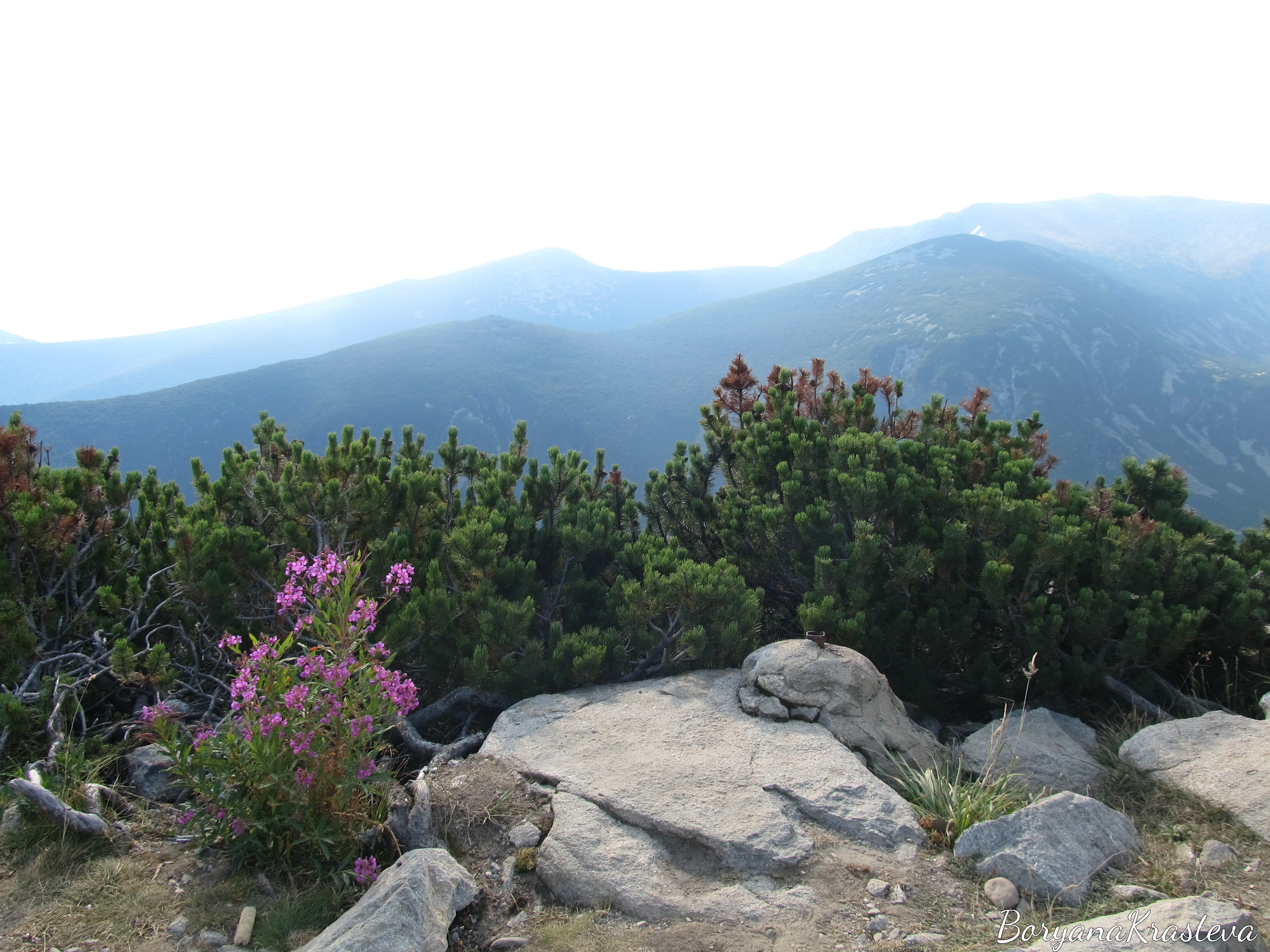 rila,planina