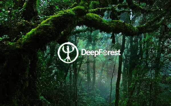 Deep Forest