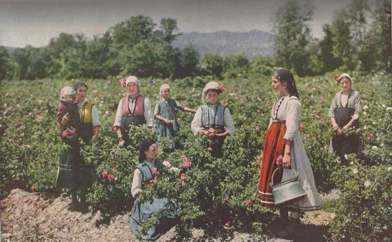 българия 1936