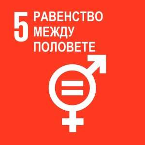 Цел 5: Равенство между половете