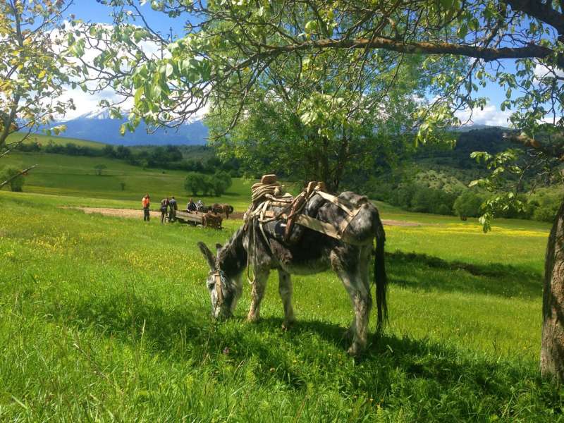 village-life-Gorno-Draglishte-Bulgaria-7a828d201b7d