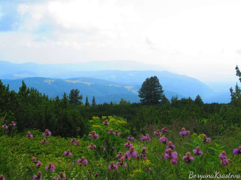 planina,rila