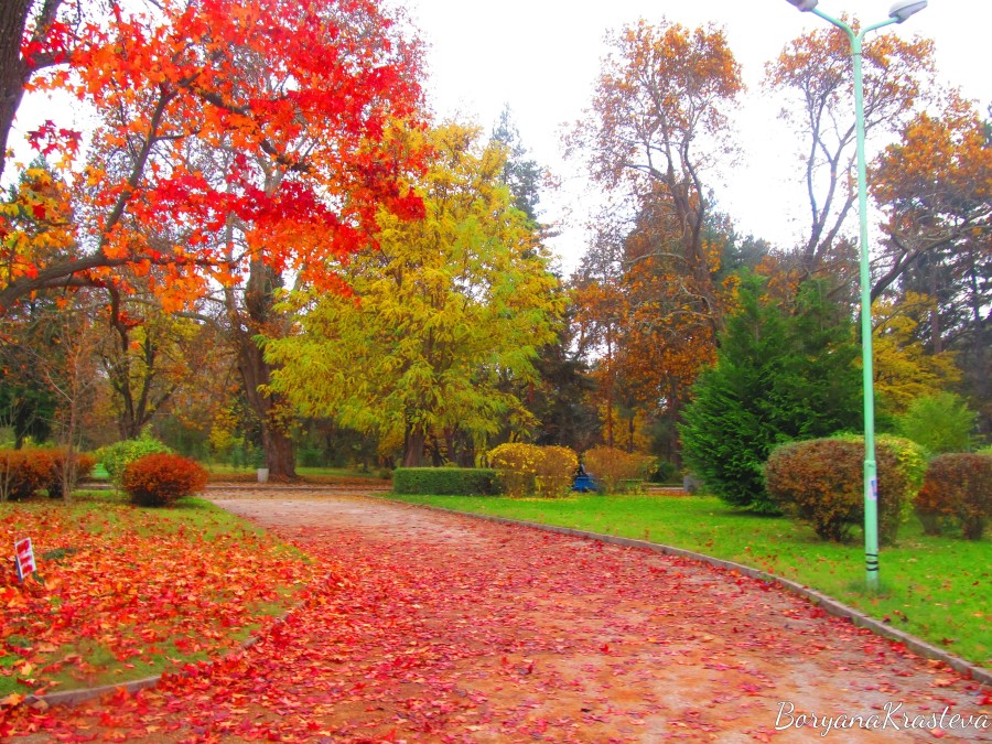 sandanski, park