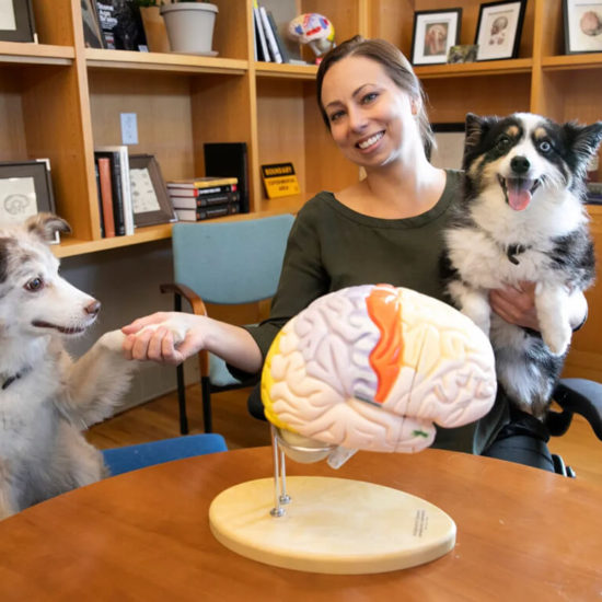 Ерин Хехт позира с австралийските си овчарки