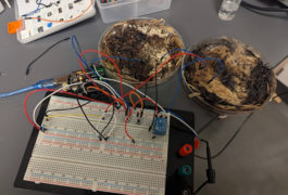 Съчетаване на гъби и електроника към проекта