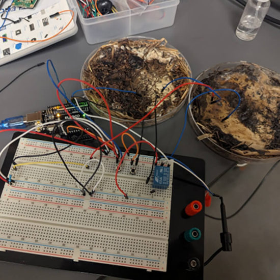 Съчетаване на гъби и електроника към проекта